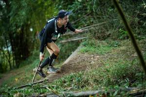 BIB: 
                            <button type="button" onclick="openModal(19433191)" class="btn btn-primary btn-sm float-right btn-popup" data-toggle="modal" data-target=".modal-high-quality">
                        <i class="fas fa-shopping-cart"></i> Add to Cart
                    </button>
                                            <button type="button" onclick="isThisMe(19433191, true)" class="btn btn-success btn-sm float-right btn-popup btn-isme hidden" data-toggle="tooltip" data-placement="bottom" title="นี่คือรูปของคุณใช่ไหม คลิกที่นี่เพื่อเอาเข้าอัลบั้ม">
                        <i class="fas fa-plus"></i> Add to album
                    </button>
                    <button type="button" onclick="isThisMe(19433191, false)" class="btn btn-warning btn-sm float-right btn-popup btn-isnotme hidden">
                        <i class="fas fa-ban"></i> Remove from album
                    </button>